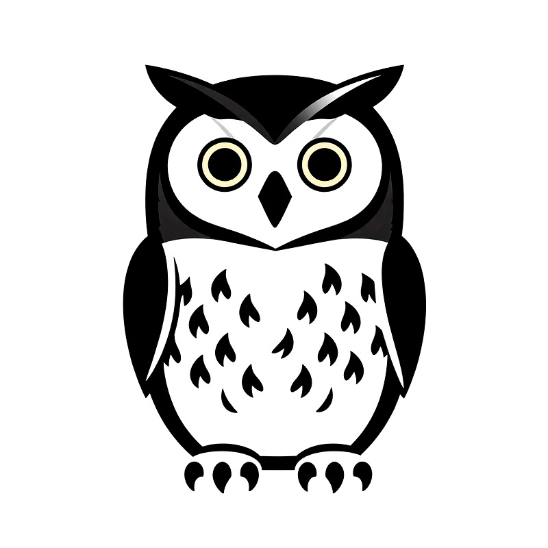 Iron On Patch - フクロウ柄熱転写ビニールHTVアイロン接着パッチDIY衣料デカールクラフト転写フィルムTシャツステッカー、バッグ、スクラップブッキング用